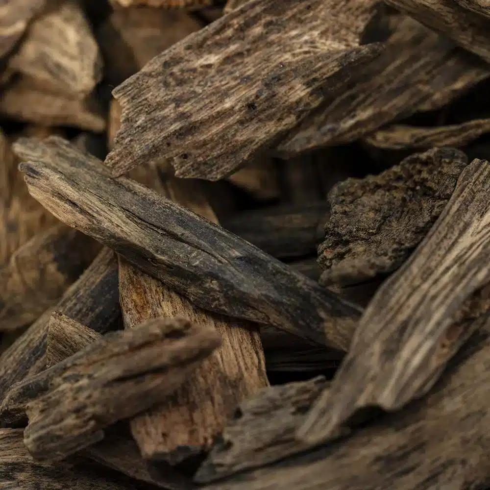 Malisi Mori Qadem - Image 3