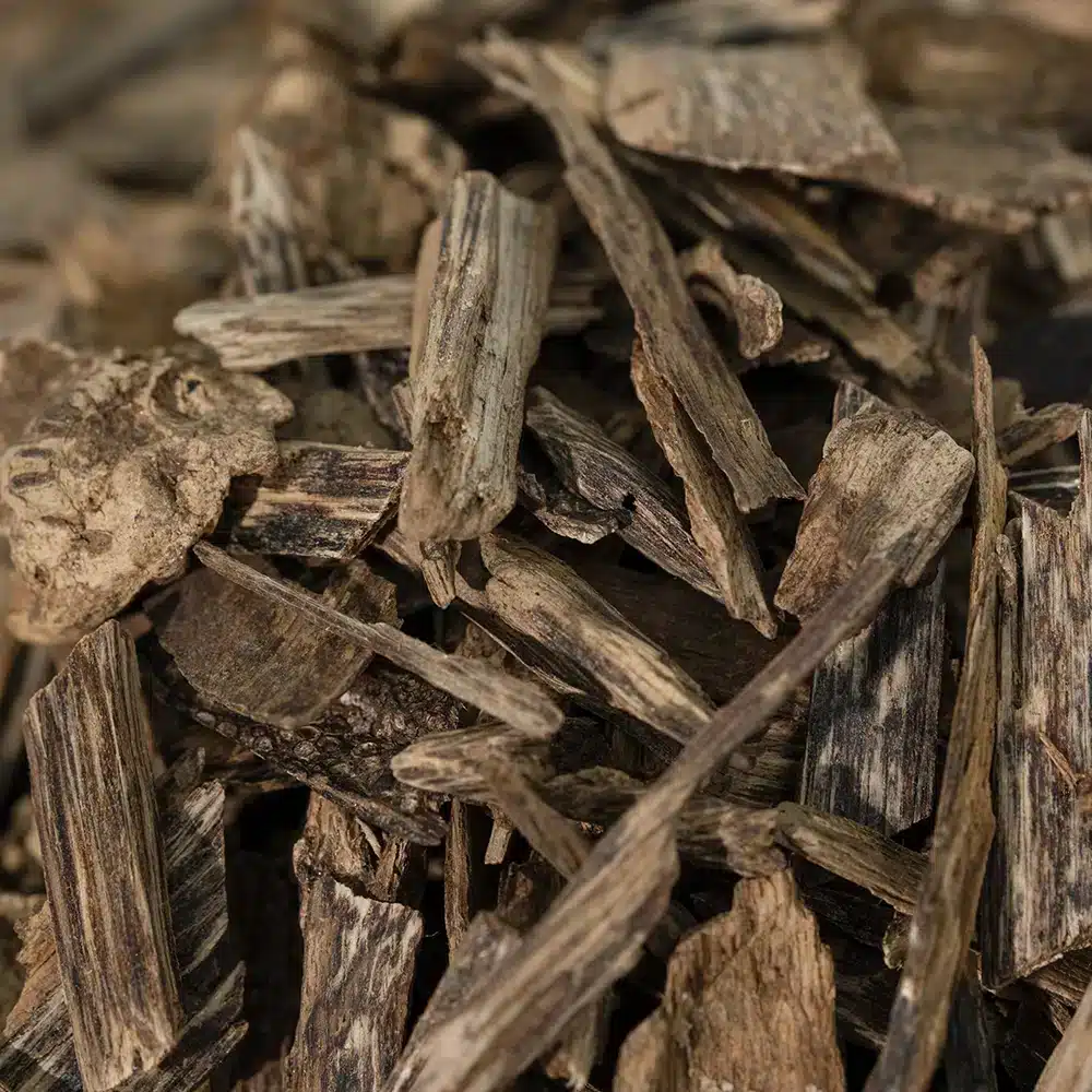 Malisi Daga - Image 3