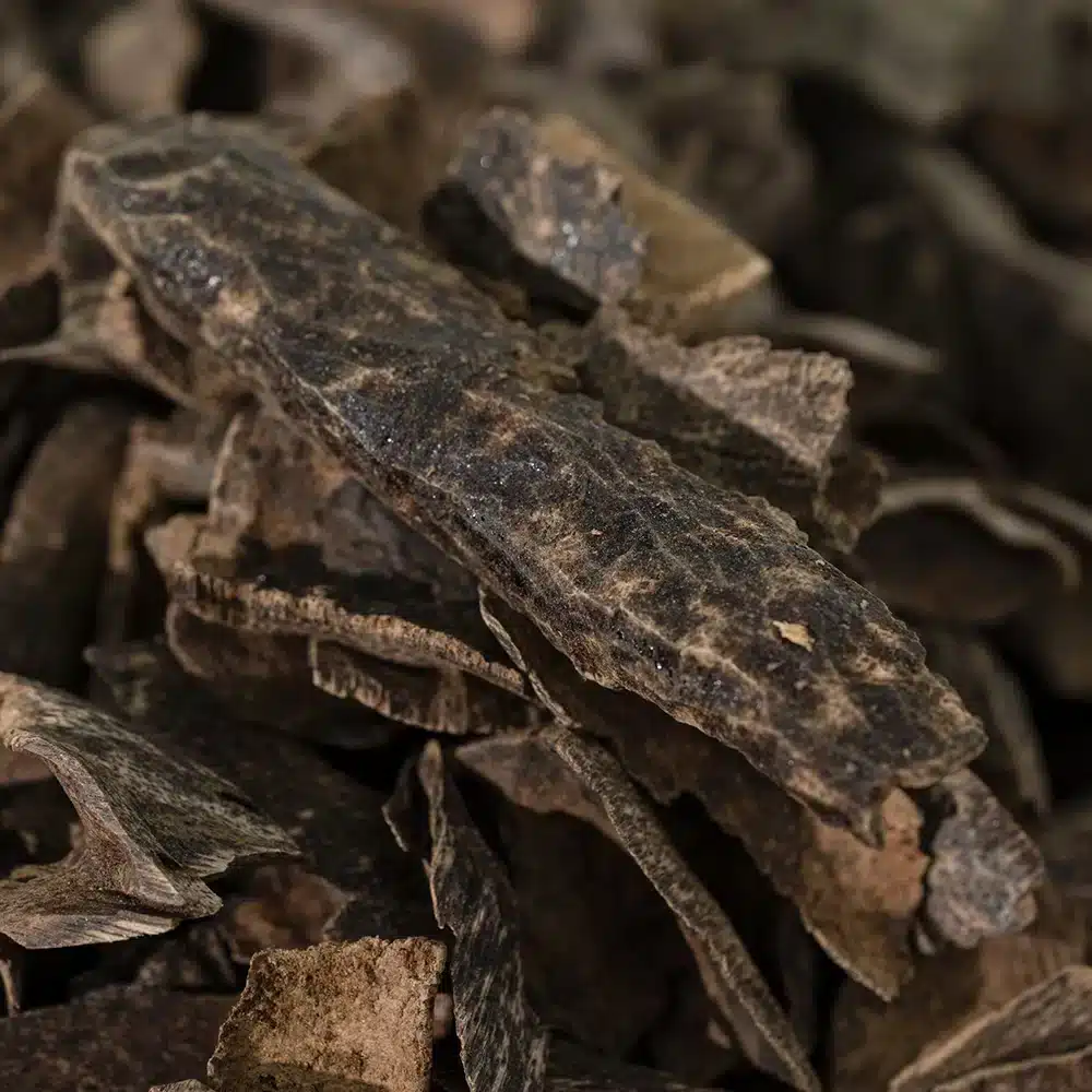 Trad Royal - Image 3