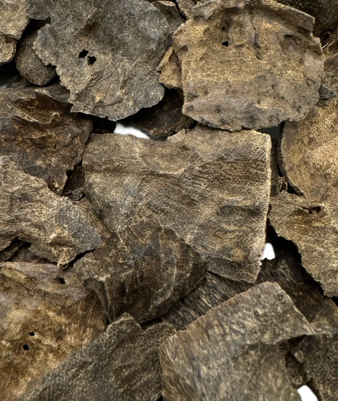 سبايك الذهب - الصورة 3