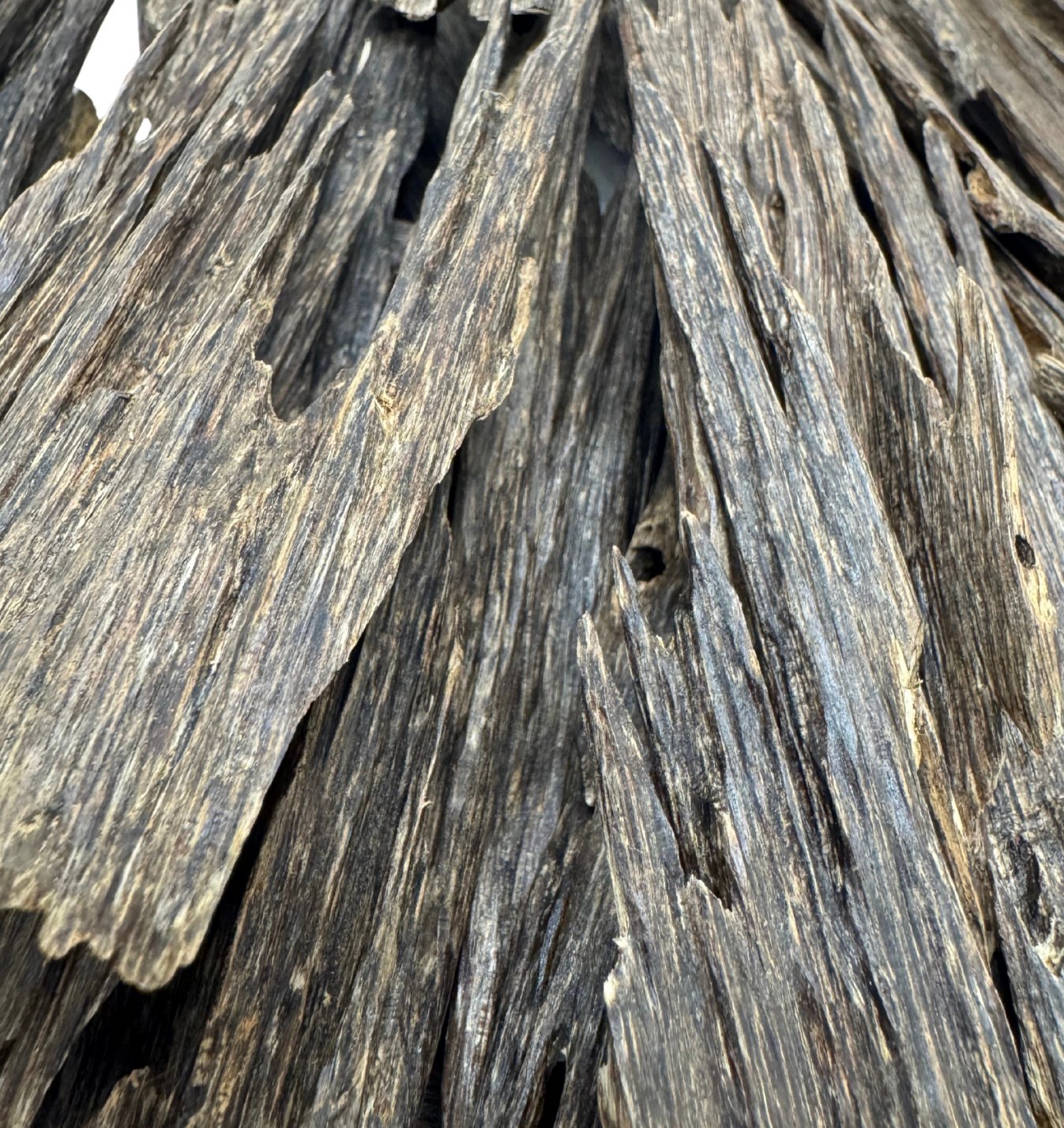 Hindi Almjalis - Image 2