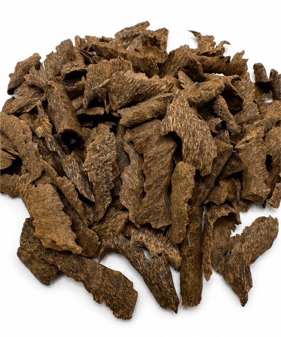 Bourmi Qadem - Image 2